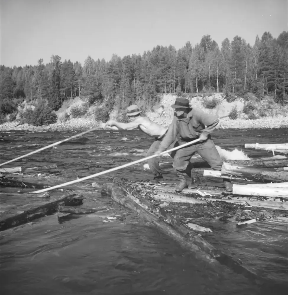 Flottning i Sollefteå, fotograf Viktor Lundgren, 1937
