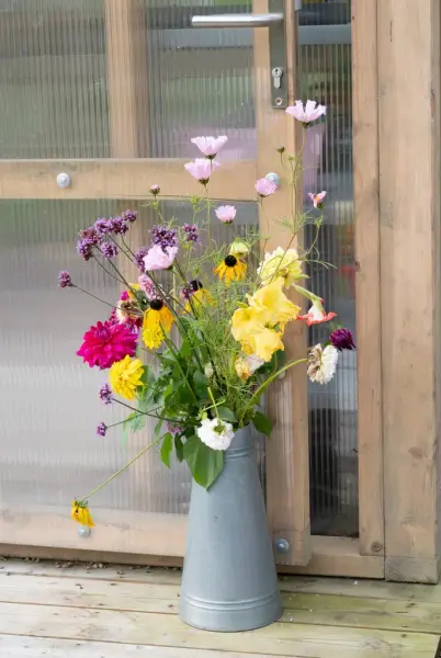 En vase med fargerike sommerblomster. 