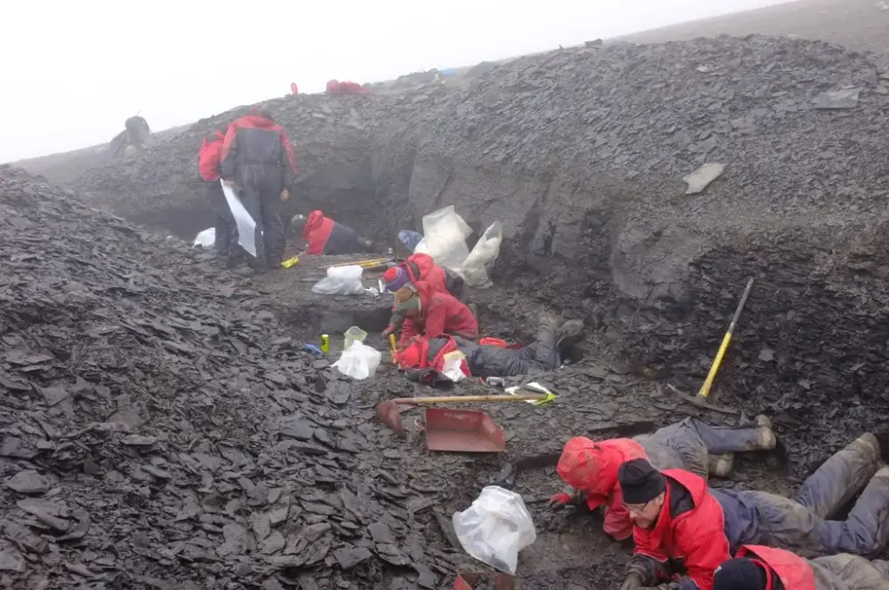 Et titalls mennesker i røde og blå kjeledresser ligger i en grøft og graver etter fossiler.