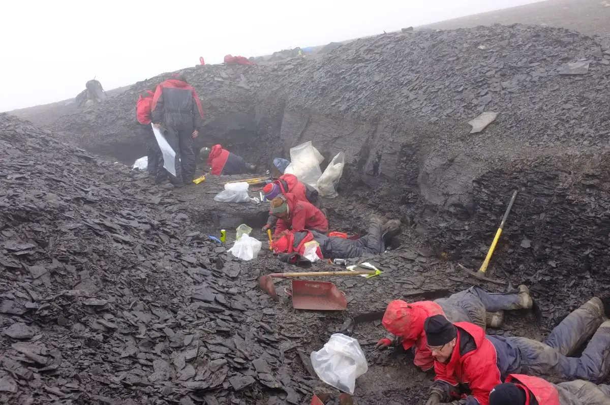 Et titalls mennesker i røde og blå kjeledresser ligger i en grøft og graver etter fossiler.
