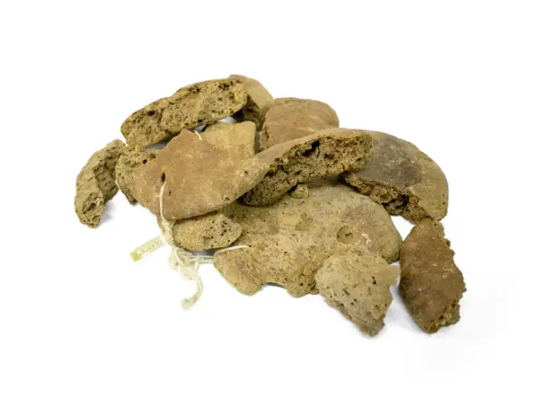 Gammelt brød, brødbiter med hyssing på. hvit bakgrunn