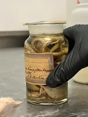 En hand som håller i en flaska med spritpreparat