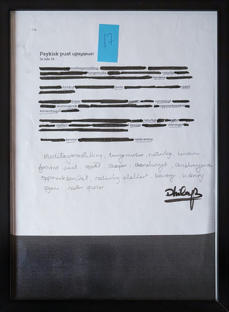 Dette er individuelle, originale sider til en bok, resultatene av en kollektiv workshop ledet av Daisuke. Ved å arbeide med funnet tekst var intensjonen med verkstedet å tilby en tilgjengelig inngang til skriving og poesi.
