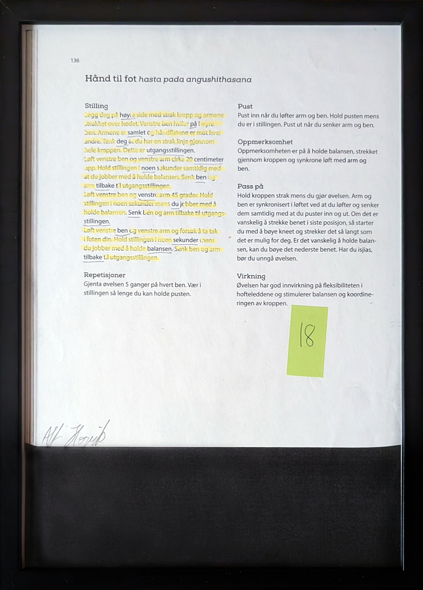 Dette er individuelle, originale sider til en bok, resultatene av en kollektiv workshop ledet av Daisuke. Ved å arbeide med funnet tekst var intensjonen med verkstedet å tilby en tilgjengelig inngang til skriving og poesi.