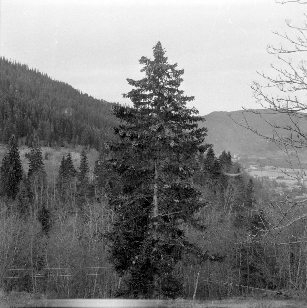 Støren