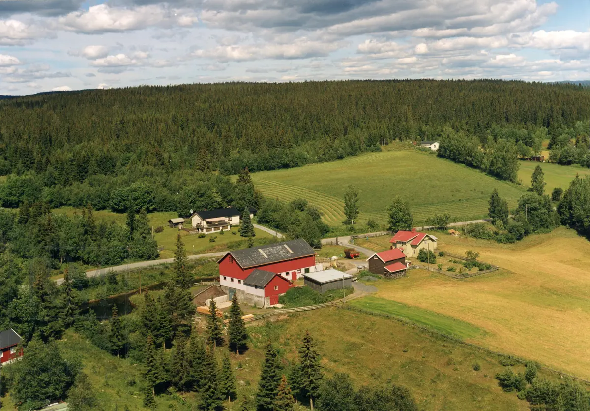 Bakke, Vest Torpa