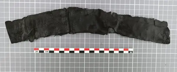 Buet lærfragment fra en middelaldersk sverdslire, mørkt og delvis slitt, med synlig søm og spor etter bruk.