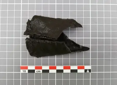 agment av en mørk lærslire med tydelig oppbrett.