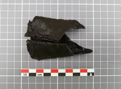 agment av en mørk lærslire med tydelig oppbrett.