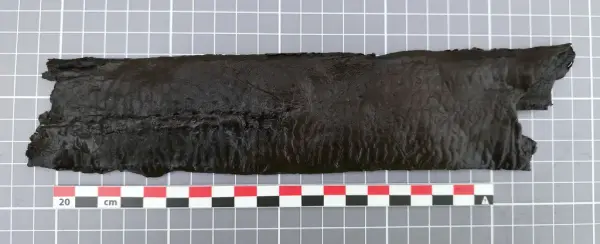 Langt, mørkt lærfragment av en middelaldersk sverdslire med svake spor etter ruteformet dekor.