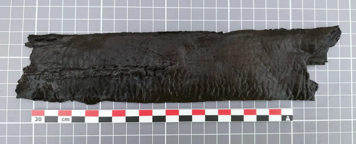 Langt, mørkt lærfragment av en middelaldersk sverdslire med svake spor etter ruteformet dekor.