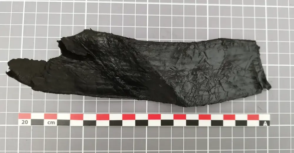 Langt, mørkt lærfragment av en sverdslire fra middelalderen, funnet under utgravning ved Bjørvika skole.