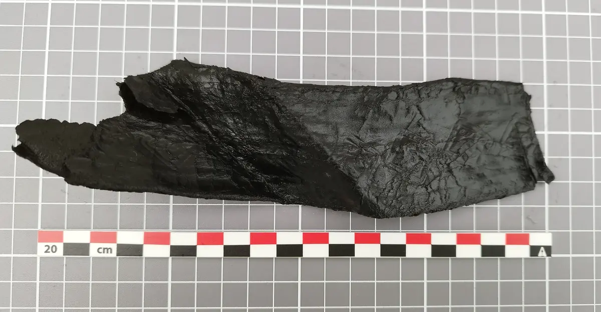 Langt, mørkt lærfragment av en sverdslire fra middelalderen, funnet under utgravning ved Bjørvika skole.