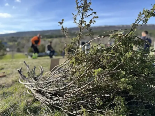 Kurs i skigardmaking