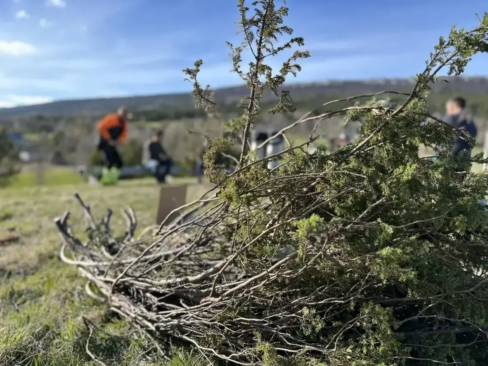 Kurs i skigardmaking