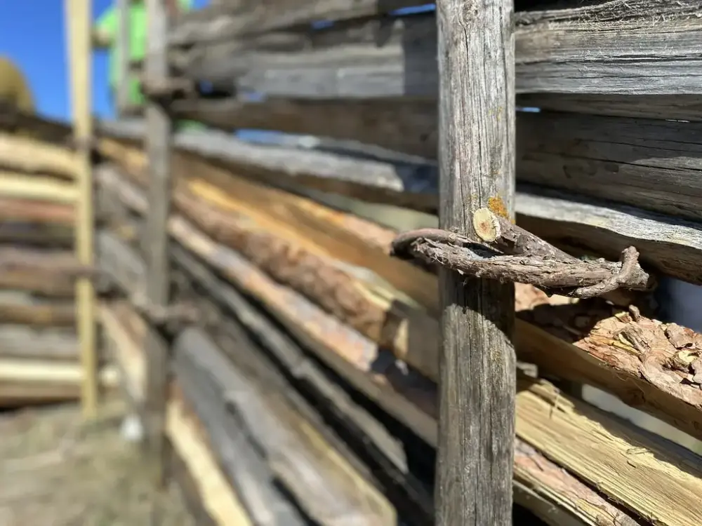 Kurs i skigardmaking