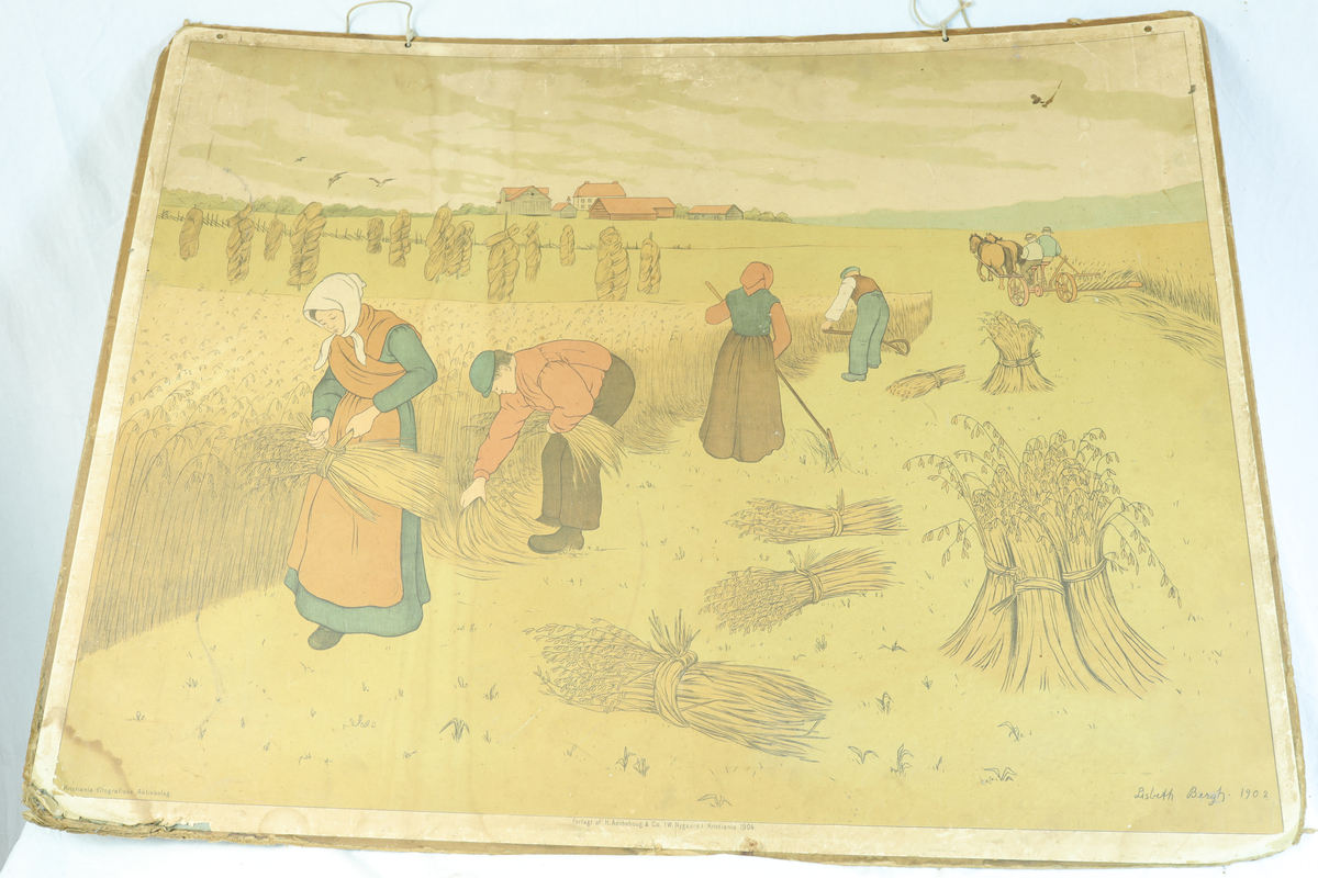Plansje med bilde av gårdsdrift. Motivet viser innhøsting av korn. Det er både kvinner og menn på plansjen. Nederst i midten står det "Forlagt af. Aschehoug & CO. (W. Nygaard9 Kristiania 1904." I høyre hjørnet er det påført med blyant (?) Lisbeth Bergh. 1902. 