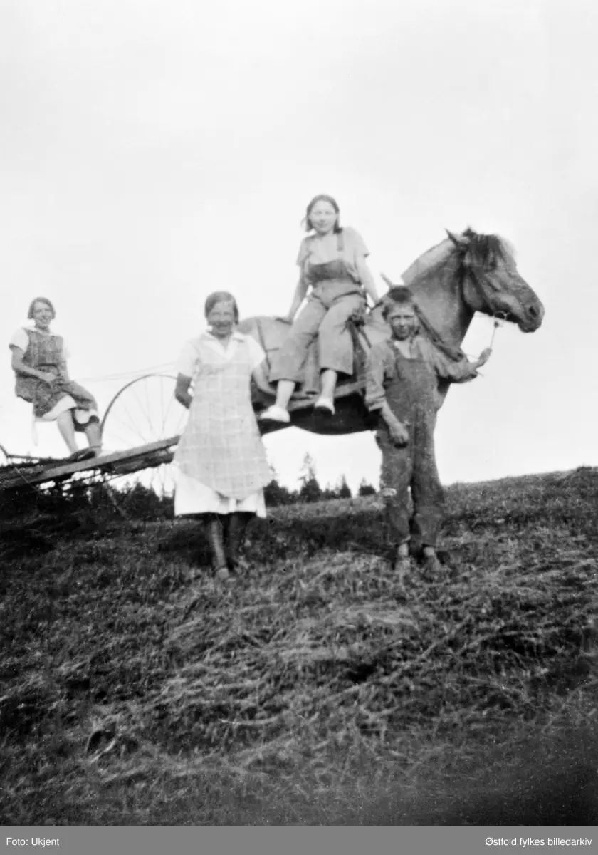 Høyonn på gården Vestgård, Varteig ca. 1930. 
Fra venstre:
Hedvig Hasle, Karen Hasle, Ingeborg Hasle og Iver Hasle med hesten "Blakken".