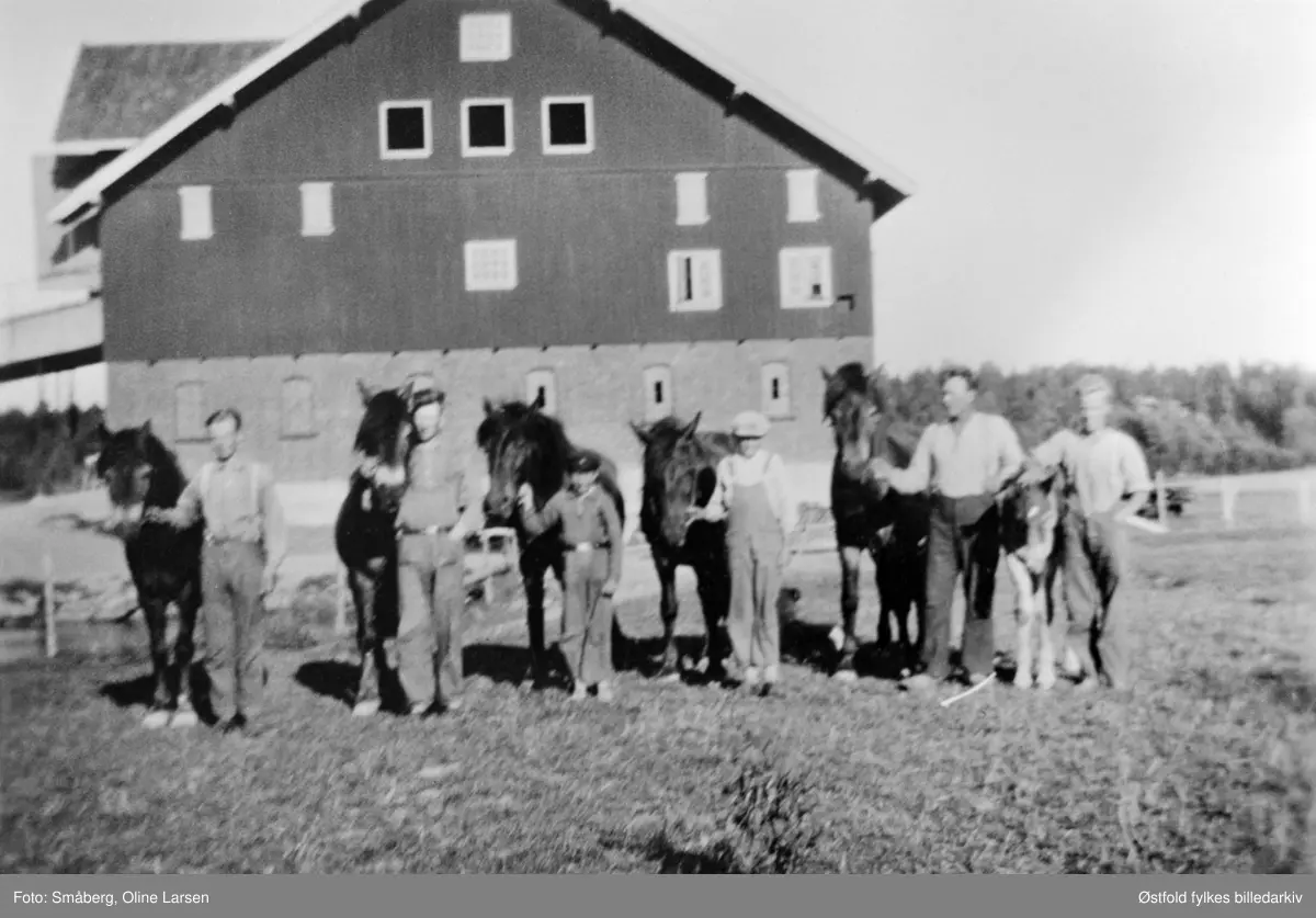Hestene på gården Småberg 6/4 i Varteig 1933. I bakgrunnen uthuset. 

Fra venstre:
Martin Larsen med hesten "Guri", Hans Vestgård med hesten "Gubben", Oddvar Brenne med "Sleipner", Ole Larsen Småberg med "Svarta", Georg Westgaard med "Flora", Johannes Bøe med folungen.
Far til folungen hette "Gullfaks", og den sto hos Støen på Sæthre i Skjebergdalen.