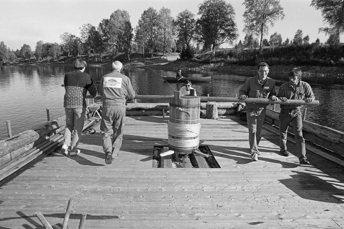 Norsk Skogbruksmuseums rekonstruerte spillflåte, som fra sommeren 1993 og flere år framover lå forankret i lensesteinen i Glåma, like ovenfor Prestfossen og Klokkerfossen, «spilles» i land for vinterlagring. Dette arbeidet ble gjort av museets personale. Karene som skjøv armene på gangspillet var Bjarte Wigdel og Håkon Sæle (til venstre, med ryggen mot fotografen) og Kjell Magne Kaveldiget og Kjell Arne Grøtbekklien fra driftsavdelingen (til høyre, med ansiktene mot fotografen). Bak tønna skimter vi utstillingsarkitekt Fotografiet ble tatt høsten 1994.