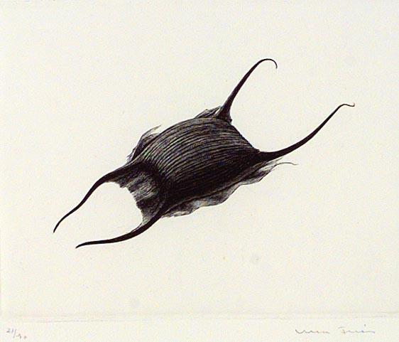 Rockägg [Grafik]