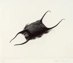 Rockägg [Grafik]
