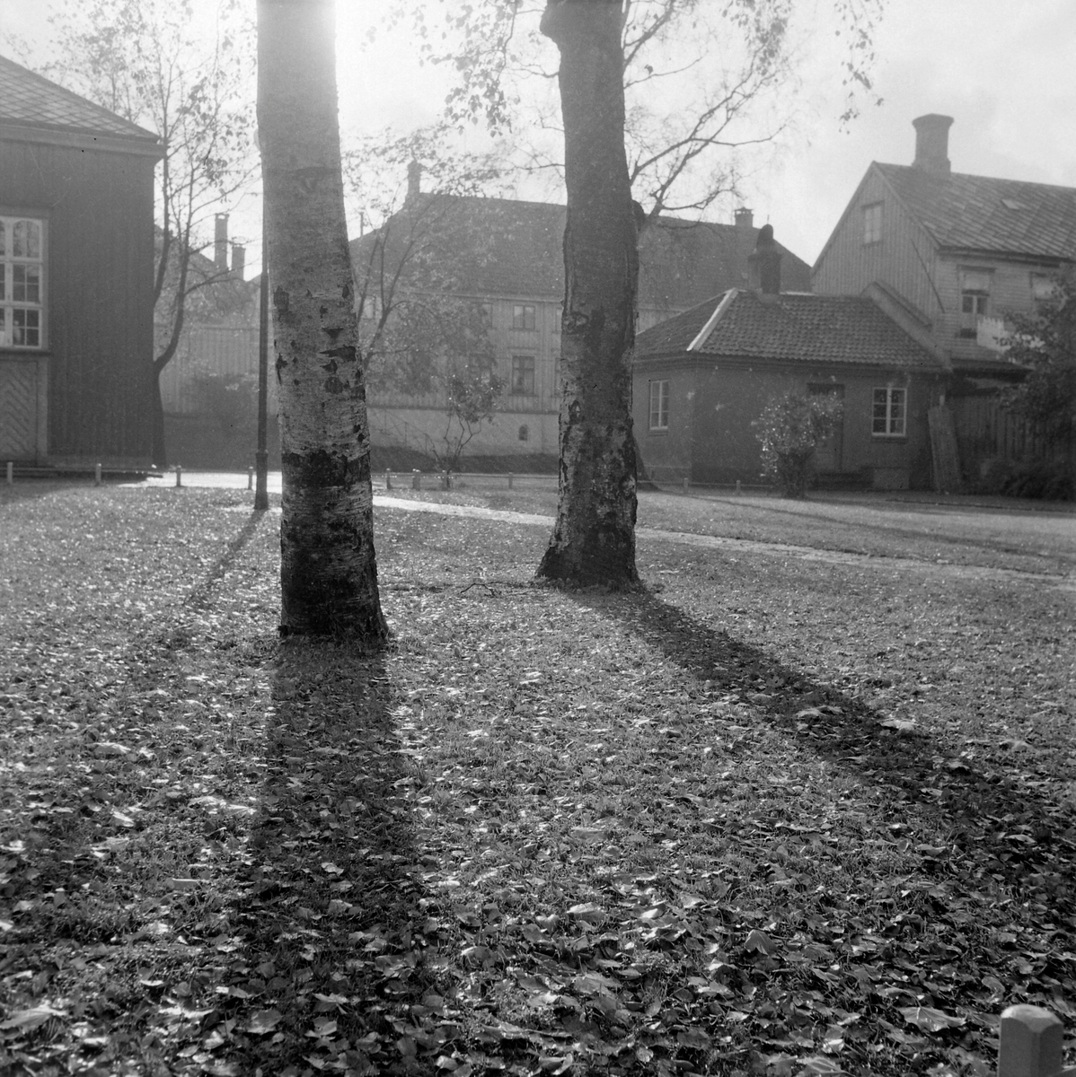 Høst i Trondheim