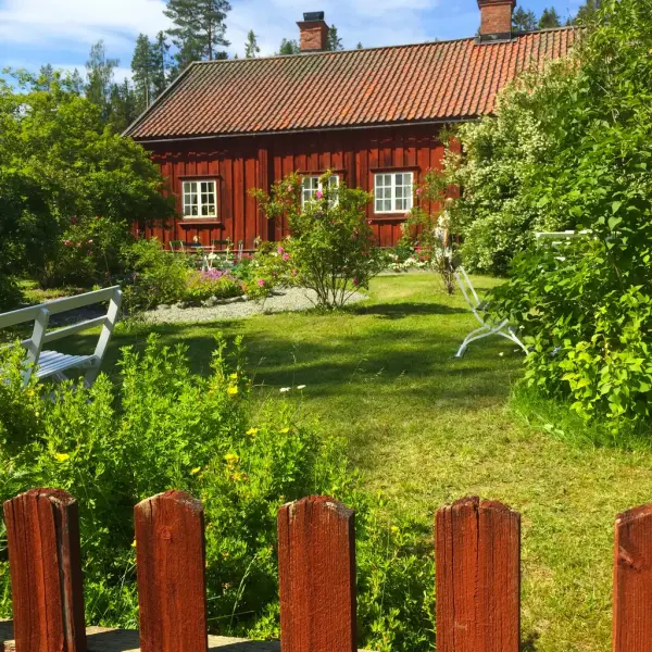 En blommande trädgård med ett rött hus i bakgrunden.