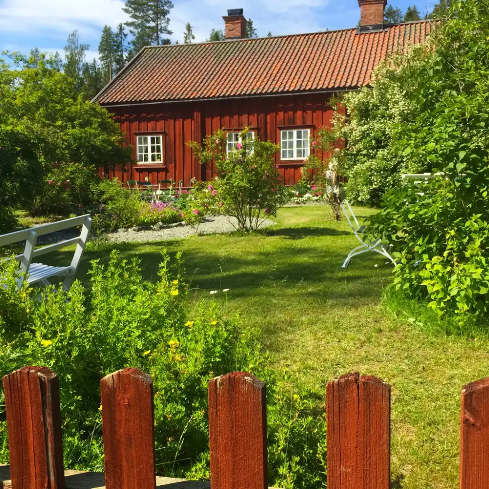 En blommande trädgård med ett rött hus i bakgrunden.