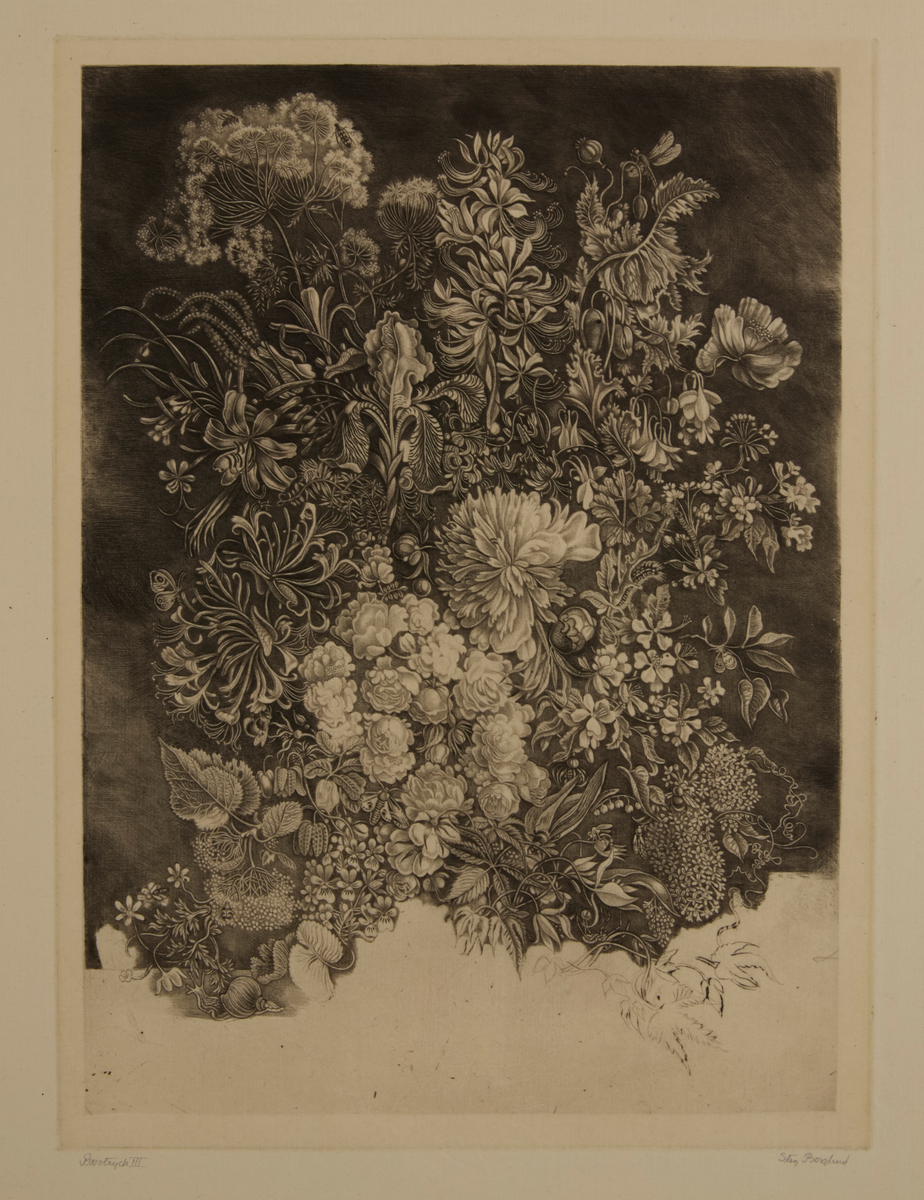 Gravyr, torrnålsgravyr av Stig Borglind. Titel: "Flora Suecica II". 1939. Provtryck III. Signerad: "Stig Borglind".

Zeitler 102.