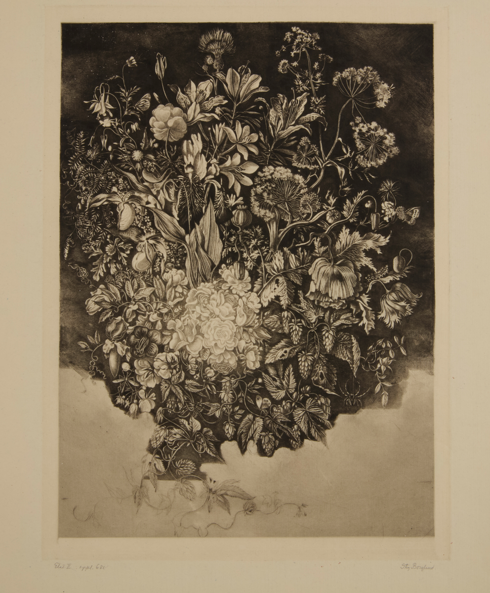 Gravyr, torrnålsgravyr och smärre kopparsticksaccenter av Stig Borglind. Titel: "Flora Suecica I". 1938. Provtryck II étet, uppl 6 ex.

Zeitler 100.