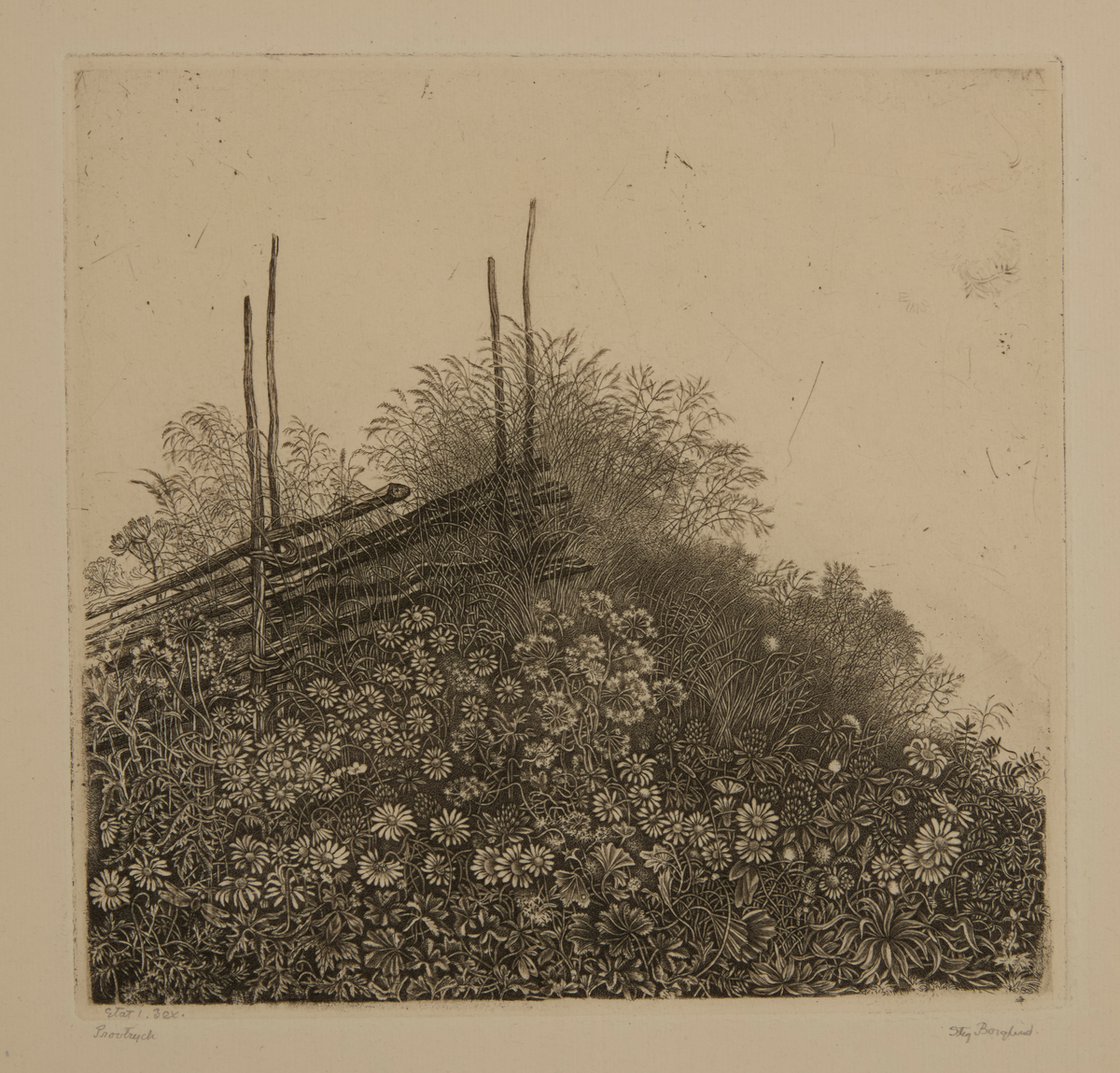 Etsning, torrnålsgravyr och kopparstick av Stig Borglind. Titel: "Sommarnatt". 1940. Provtryck I état 3 ex. Signerad: "Stig Borglind".

Zeitler 105.