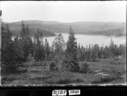 Landskap Lensvika