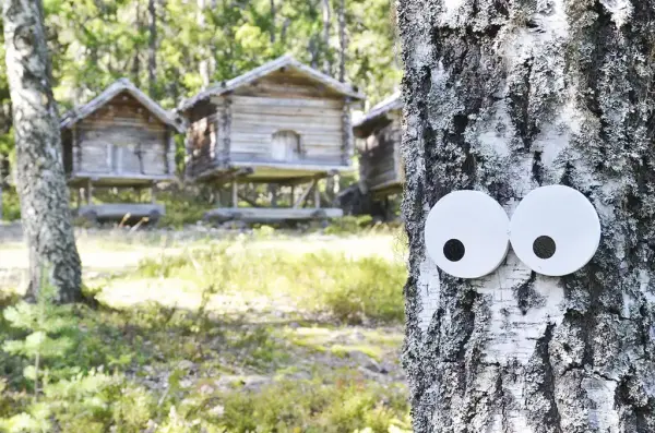 Ögon på träd och träbyggnader på pålar i bakgrunden.