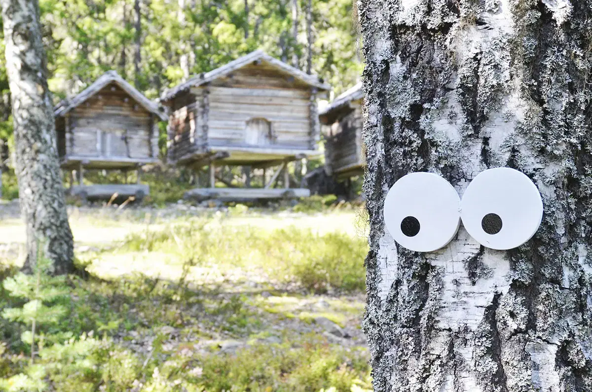 Ögon på träd och träbyggnader på pålar i bakgrunden.