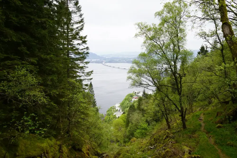 Utsikt fra Milastemma 