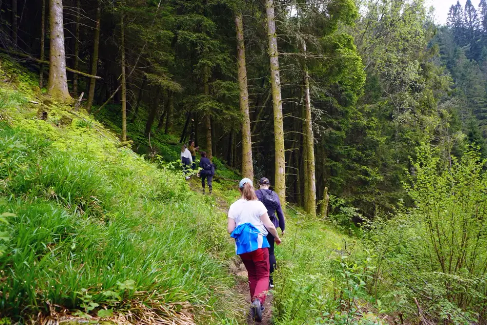 Personer som går på en smal og bratt turstil