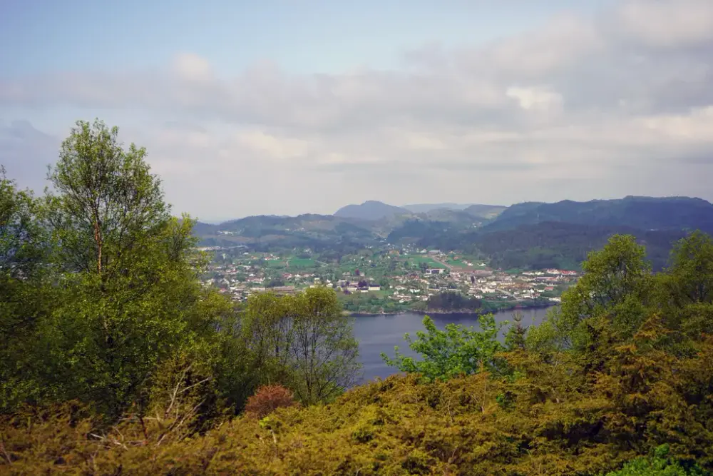 Utsikt med trær i forgrunnen, fjorden og Frekhaug i bakgrunnen