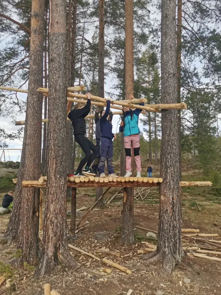 tre jenter byggjer ei trehytte i trærne
