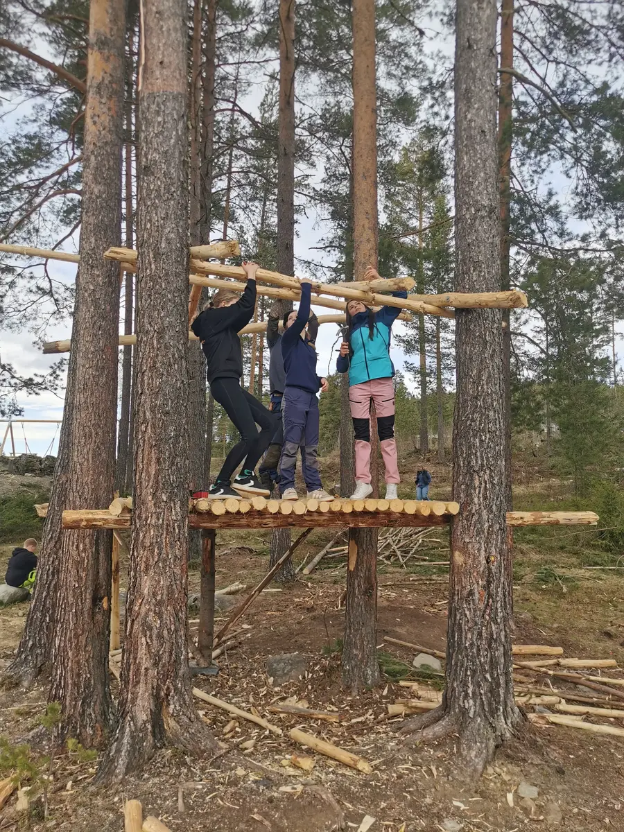tre jenter byggjer ei trehytte i trærne
