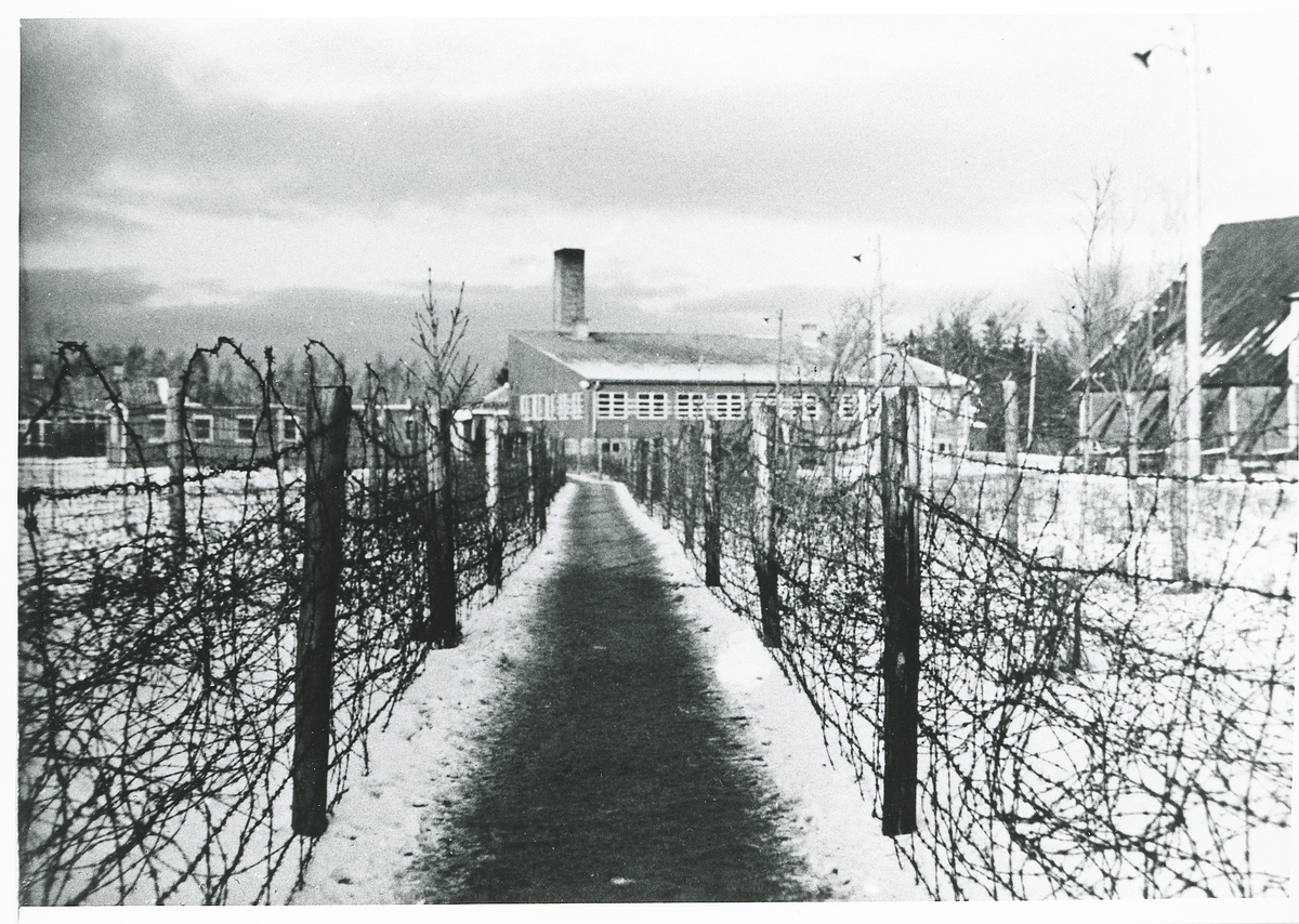 Rinkaby utanför Kristianstad. Fångläger för balter m.fl., januari 1946.