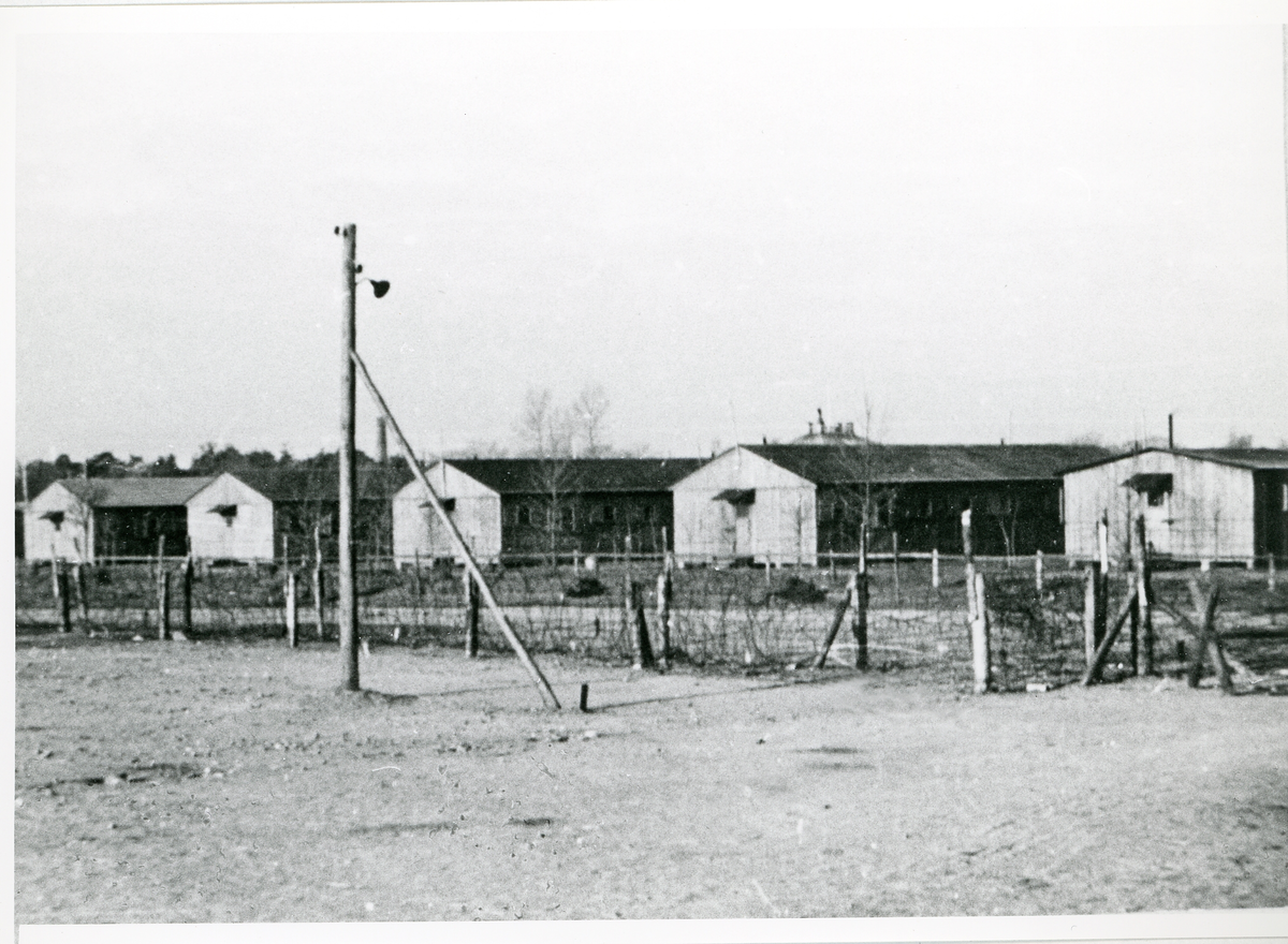 Rinkaby utanför Kristianstad. Fångläger för balter m.fl., januari 1946.