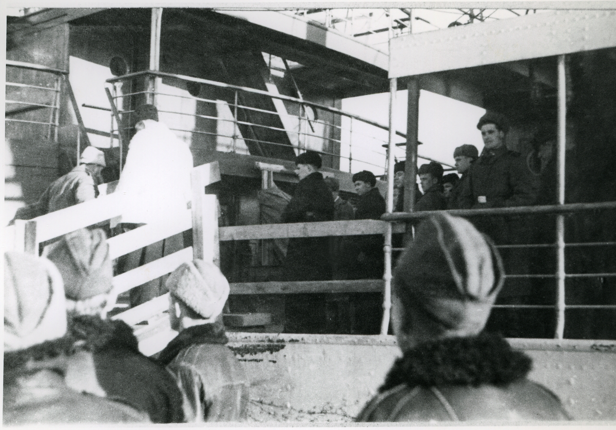 Baltutlämningen, januari 1946.
Hamnen i Trelleborg, troligtvis på morgonen, 25 januari 1946, med det sovjetiska fartyget "Beloostrov" som skulle hämta balterna.
Man har påbörjat ombordstigandet.