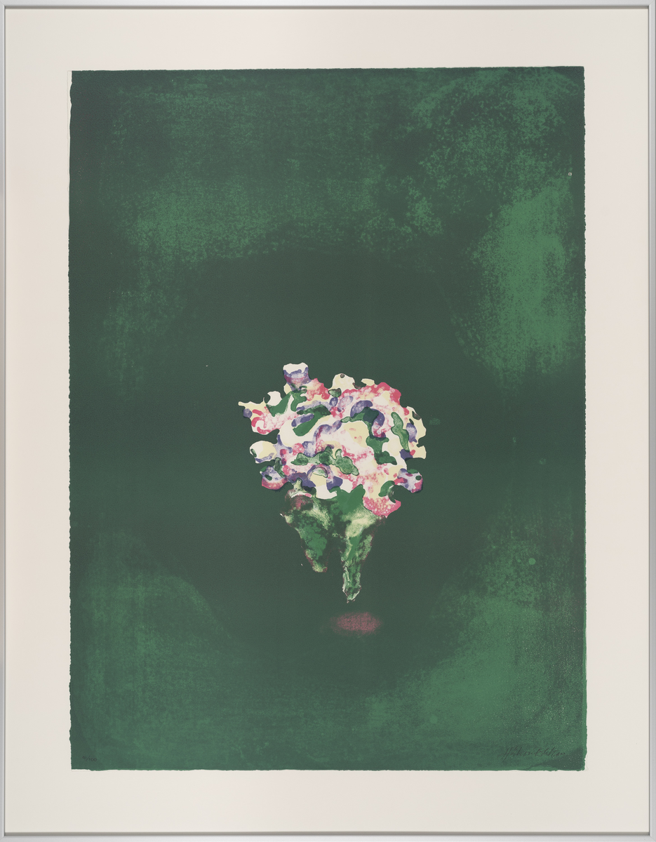 Blomst i mørket [Grafikkmappe]