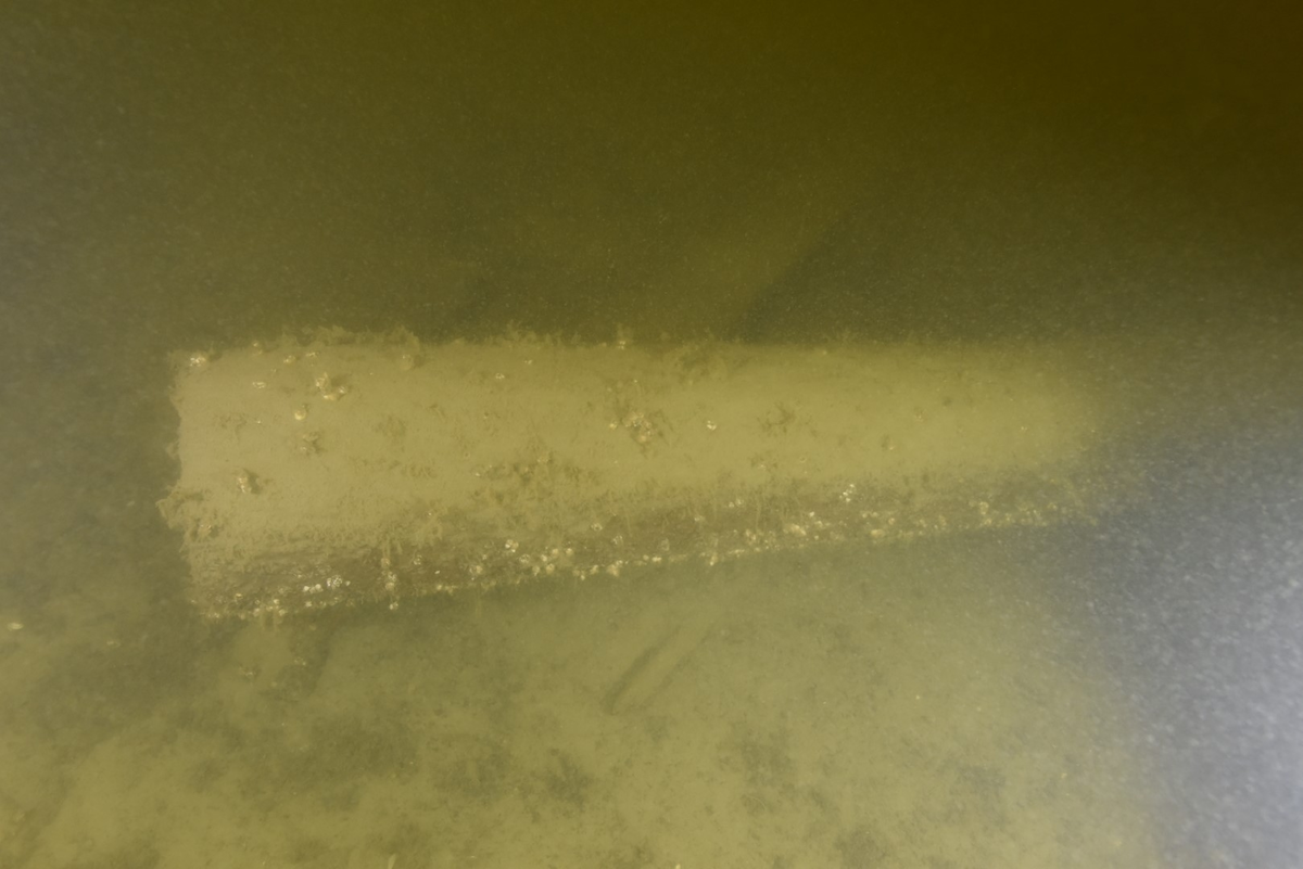 Ett löst rundtimmer.