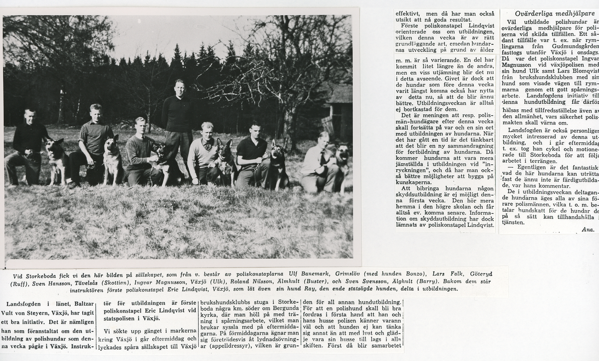 Polishundsutbildning, cirka 1962.
"Landsfogden i länet, Baltzar Vult von Steyern, Växjö, har tagit ett bra initiativ. Det är nämligen han som föranstaltat om den utbildning av polishundar som denna vecka pågår i Växjö..."
"Vid Storkeboda fick vi den här bilden på sällskapet som fr. v. består av poliskonstaplarna Ulf Banemark, Grimslöv (med hunden Bonzo), Lars Falk, Göteryd (Ruff), Sven Hansson, Tävelsås (Skottian), Ingvar Magnusson, Växjö (Ulk), Roland Nilsson, Älmhult (Buster) och Sven Svensson, Älghult (Barry).
Bakom dem står instruktören, förste poliskonstapel Eric Lindqvist, Växjö, som lät även sin Ray, den enda statsägde hunden, delta i utbildningen".