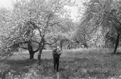 Anders Peter Hultgren med barnbarn