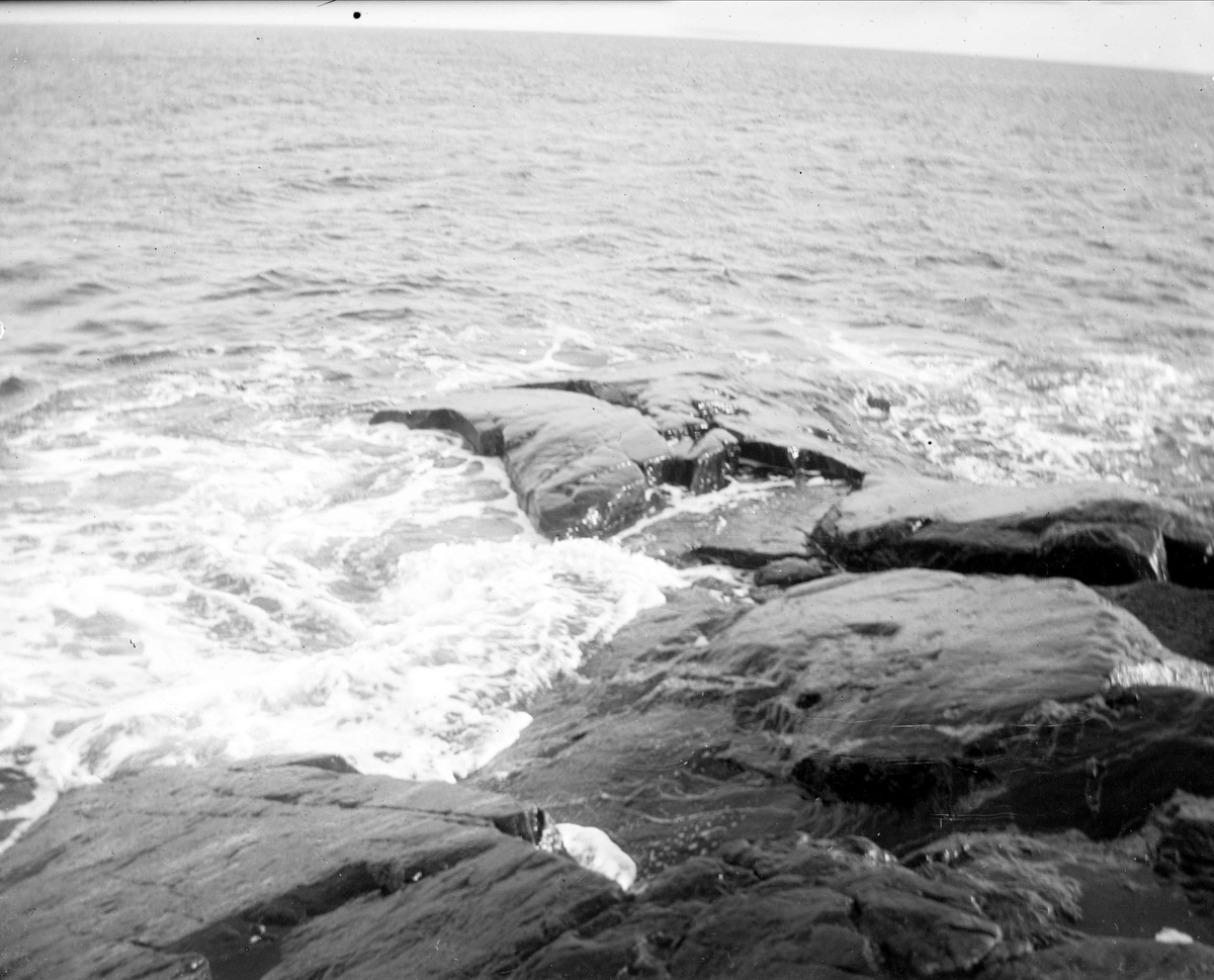 Havskust