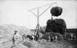 Historiske utvandrerbilder