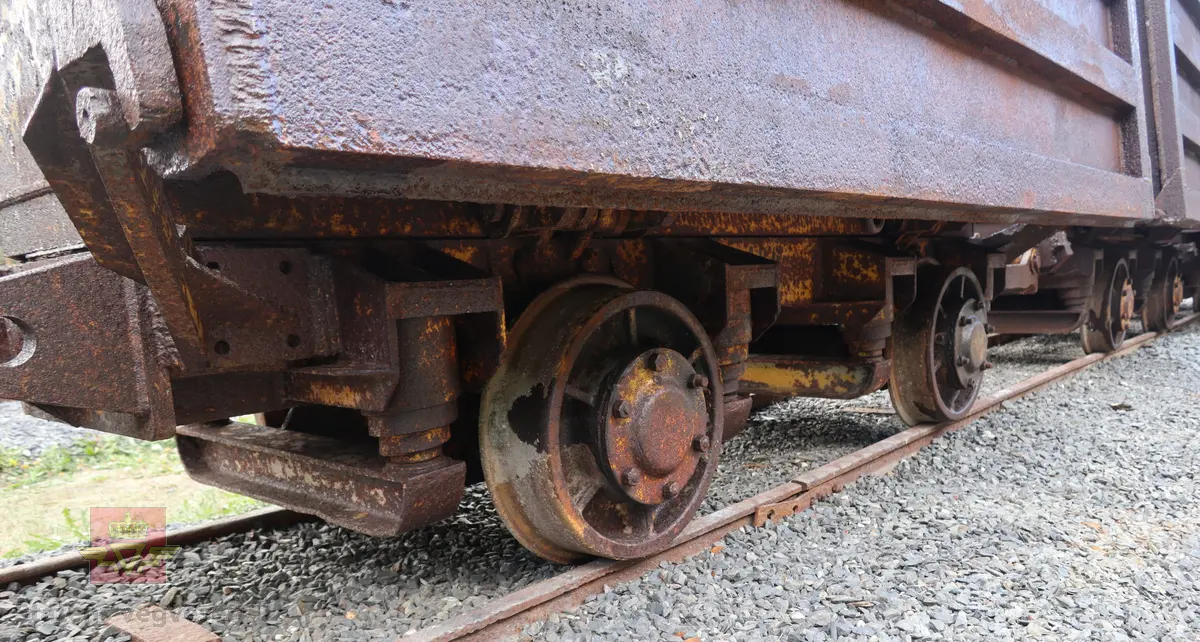 Tunnelvaggen har et understell med to hjulganger med to hjul på hver hjulgang. Typiske hjul med flens for skinnegang. Opplegg for seriekobling av flere vagger. Mekanisk sideveis tipp. Passer til skinnegang med sporvidde 75 cm. Rusten med rester av gul farge. Vaggen har plass til ca. 4 kubikk masse.

Det er tre like vagger, det er merket:
NFSM-G-00368
NFSM-G-00368-1
NFSM-G-00368-2